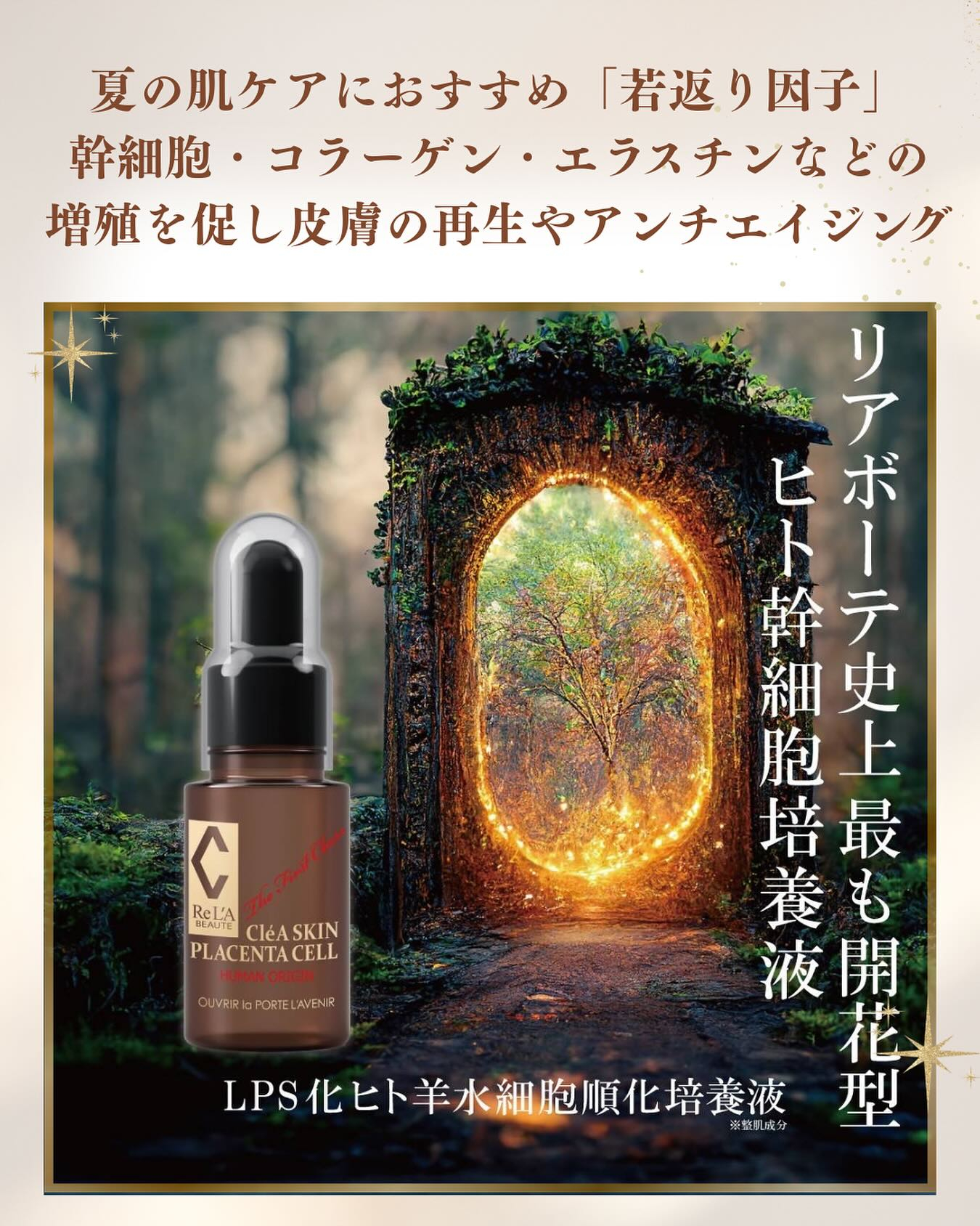 夏の肌ケアにおすすめ✨