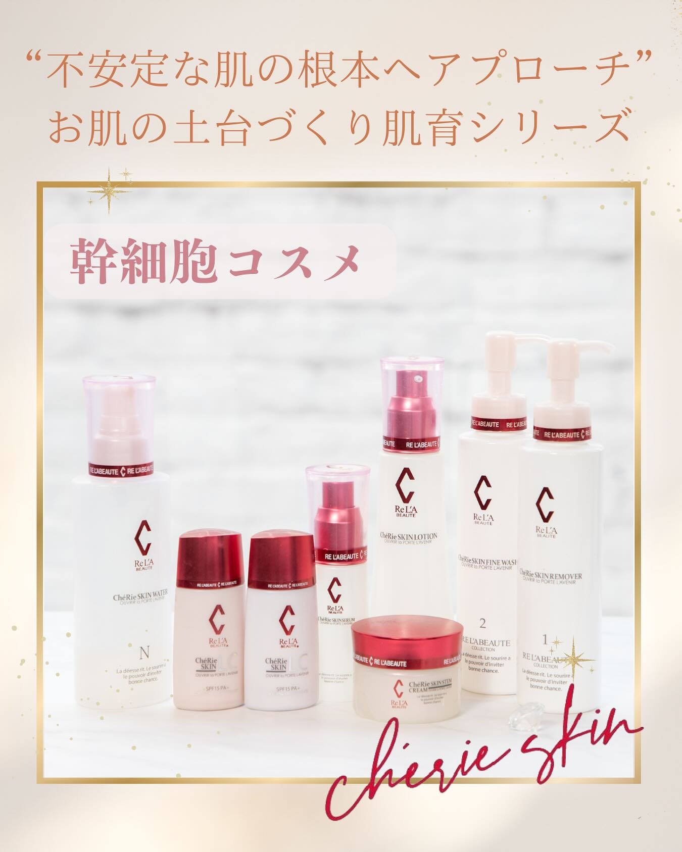 お肌の土台づくり肌育✨幹細胞コスメ✨